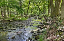 72 Van Dale Road, Woodstock, NY 12498