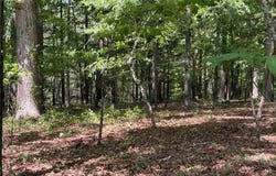 TR 2 Chalcrest Way, Cave Spring, GA 30124