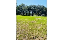 NW 134TH Drive, ALACHUA, FL 32615
