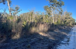 NE 673rd St, Old Town, FL 32680