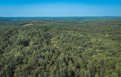 Tract 4 Private Drive, Norwood, MO 65717