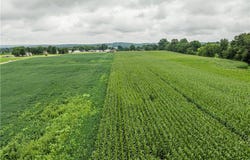 State Route 226, Shreve, OH 44676