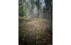 Morrison Creek Road, Iron River, MI 49935