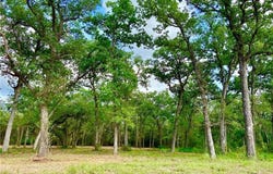 208 Post Oak Road lot: 7, Inez, TX 77968