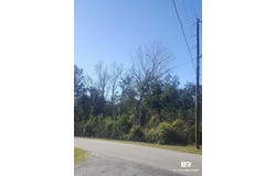 2062 Clubhouse Drive, Lillian, AL 36549
