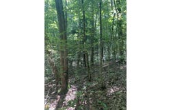 N Woods Point, Sky Valley, GA 30537
