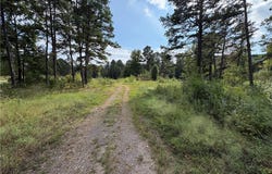 15677 SR 7N, Dover, AR 72837