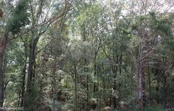 9 Hickory Hollow Road, Hernando, MS 38632