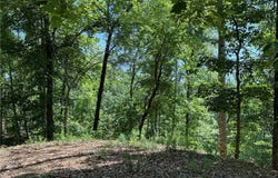 126 Summit Pine, Sunset, SC 29685