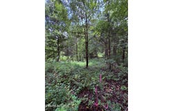 Midway Rd lot: 3-4, Strawberry Plains, TN 37871
