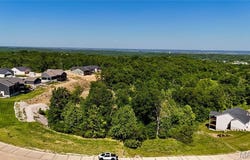 Valleyview Dr. lot: 41, Barnhart, MO 63012