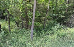 Tdb Broad Shoals Rd, Riner, VA 24149