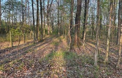 Hwy 45 Alt, Okolona, MS 38860