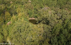 Allen Lane, Magnolia, MS 39652