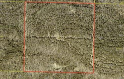 State Highway Uu Road, Chadwick, MO 65629