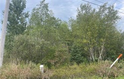 Smith Road, Jefferson, OH 44047