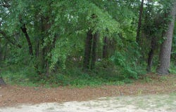904 Lennox Ave, Dothan, AL 36301