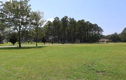 301 Plantation Drive, Manning, SC 29102