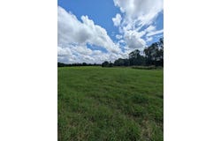 1762 County Road 19, Ariton, AL 36311