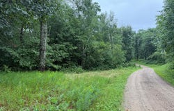 Hardy Lake Road, Baxter, MN 56425