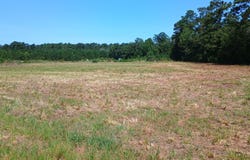 Strickland Rd., Green Sea, SC 29545