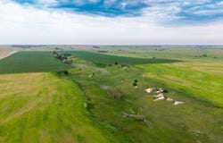 380th Ave, Palco, KS 67657