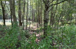 Abigail Lane, Deep Gap, NC 28618