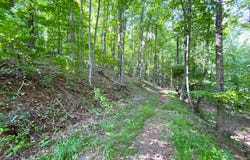 76 Captains Gate, Dugspur, VA 24325