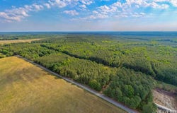 10.22AC Grandy Road (Lot #1 & #2) lot: 1 & 2, Brodnax, VA 23920