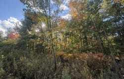 11&15 Bagaduce Lane, Sedgwick, ME 04676