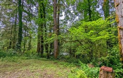 61875 E JETTVIEW Ln, Brightwood, OR 97011
