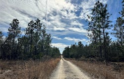 NE 150TH Court, WILLISTON, FL 32696