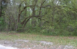 S Hickory Street, Bloomingdale, GA 31302