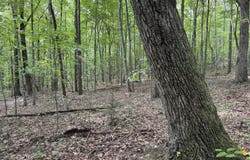 Wildcat Rd, Jamestown, TN 38556