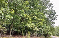 Spake Road lot: D, Pendleton, SC 29670