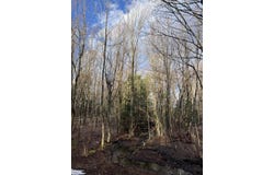 Commons Road lot: #6, Chateaugay, NY 12920