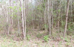 69-(6)-3 Lew Jones Rd, Dewitt, VA 23840