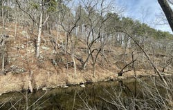 Forest Drive, Houston, MO 65483
