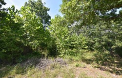 Deckard Road, Fordland, MO 65652