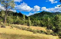 925 Kingsbury Rd, Hayfork, CA 96041
