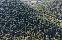 PA-225, ELIZABETHVILLE, PA 17023