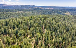 6420 Starkes Grade Road, Pollock Pines, CA 95726