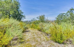 San Benancio RD, SALINAS, CA 93908