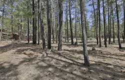 2682 Brahma Circle, Pinetop, AZ 85935