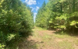 Archie Boyd Road, Jayess, MS 39641