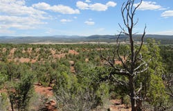 Frontage Rd 2116, Rowe, NM 87562