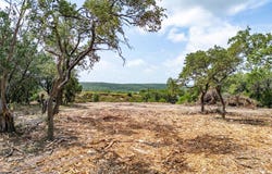 5207 Avispa Way, Austin, TX 78738