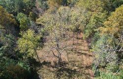 Byllesby Road, Ivanhoe, VA 24350