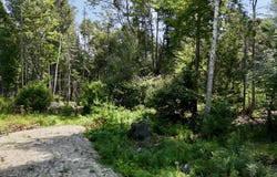 M08 L044-D Flye Point Road, Brooklin, ME 04616
