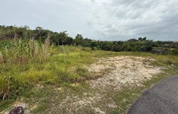 Plana, Isabela, PR 00662